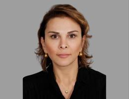 العميل Mona Raz