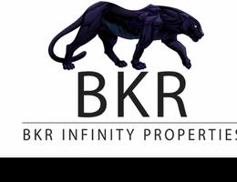Twin Star Properties