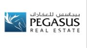 Pegasus Real Estate logo image
