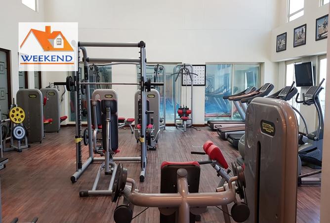 53006515 - Property Image 2