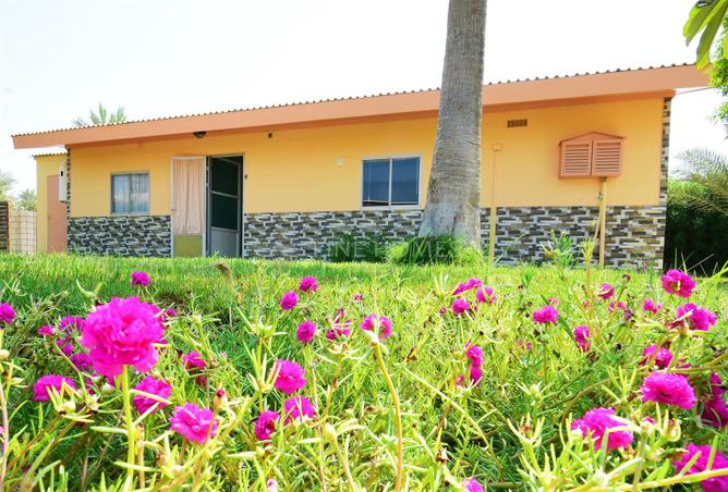 55803642 - Property Image 2