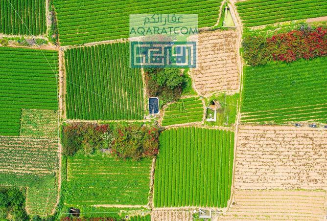 712920 - الصورة الرئيسية للعقار