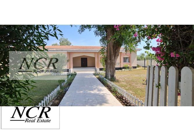 970525 - صورة العقار 2