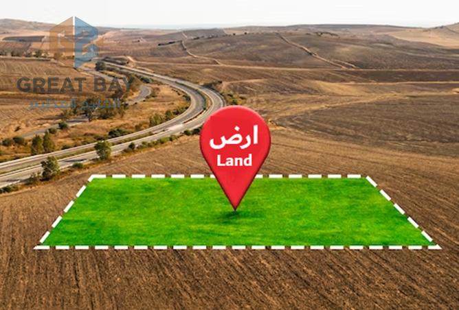 910050 - Property Image 3