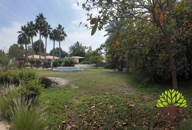 52701164 - صورة العقار 2