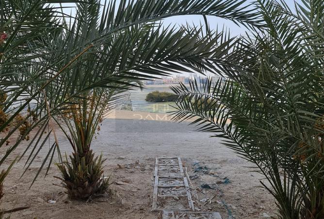 51931201 - صورة العقار 2