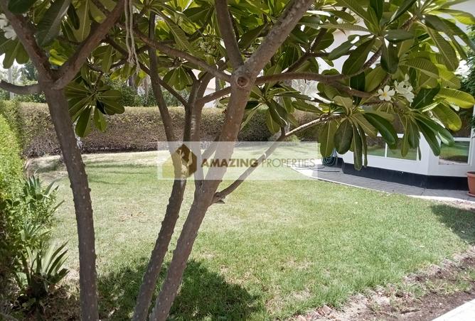 934751 - صورة العقار 2