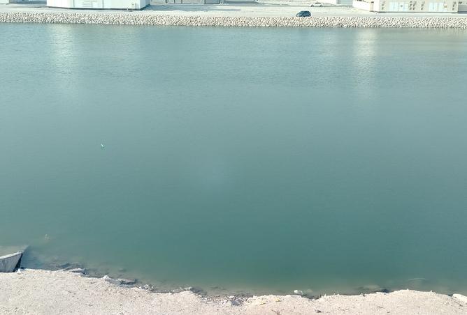 51472808 - صورة العقار 2