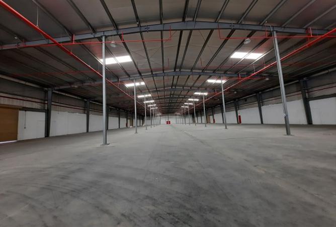 784766 - صورة العقار 3