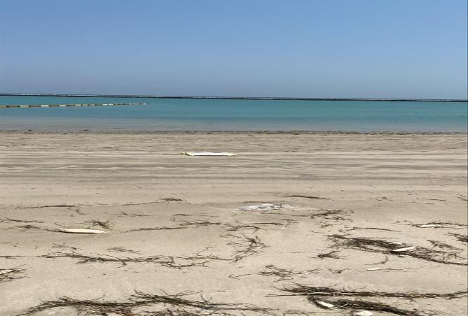 952092 - صورة العقار 2