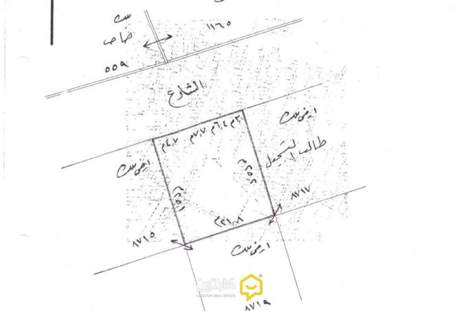 54178517 - Property Image 3