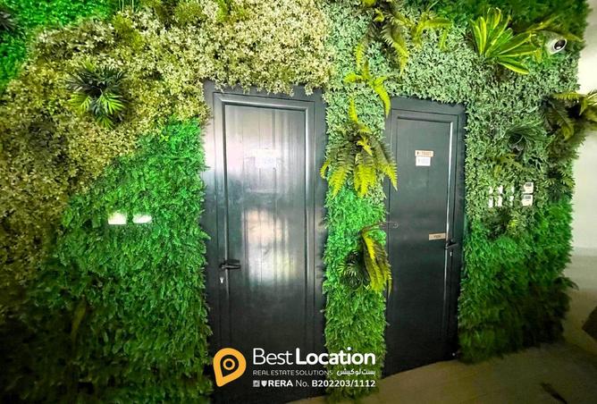 955074 - صورة العقار 3