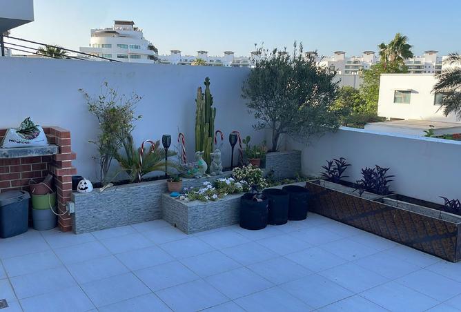 955375 - صورة العقار 2