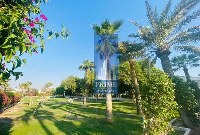 961966 - Property Image 2