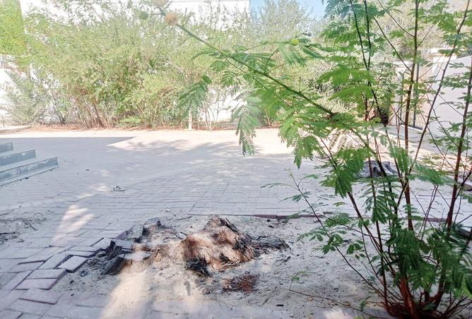 963606 - صورة العقار 3