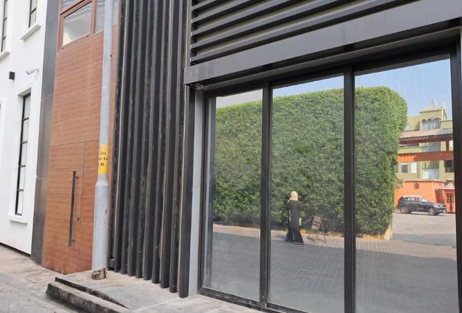 973023 - صورة العقار 3