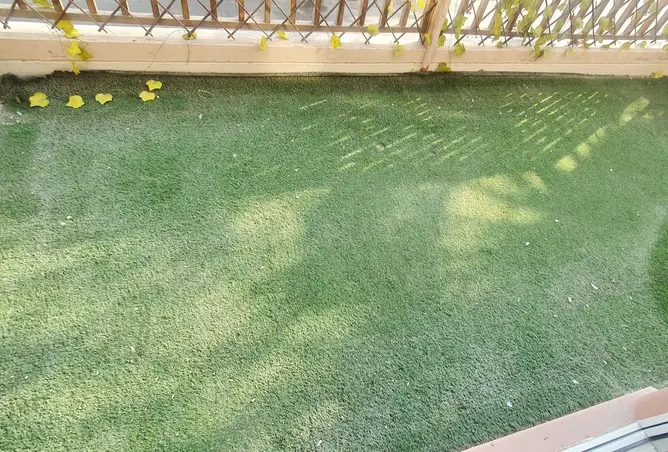 58297798 - صورة العقار 2
