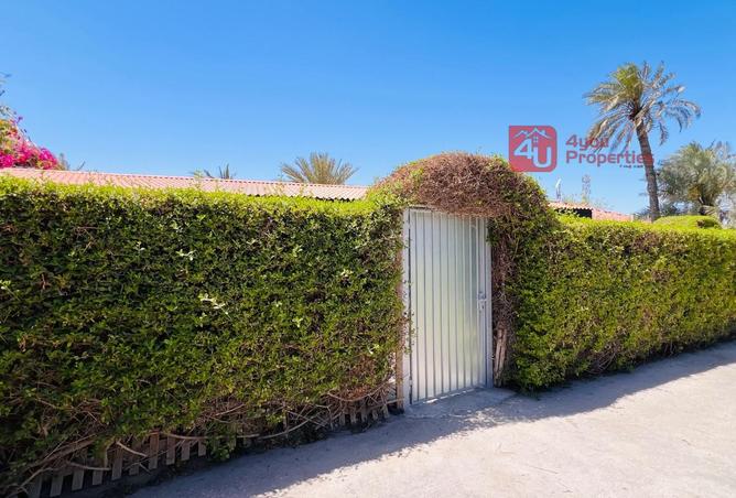 995991 - صورة العقار 3