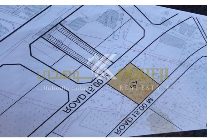 994327 - Property Image 3