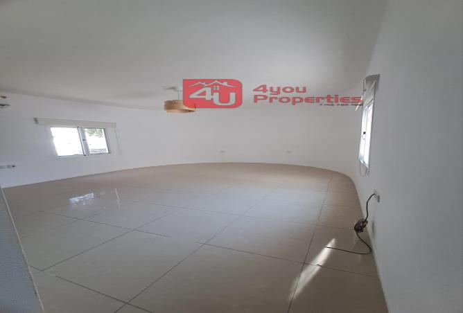 51557448 - Property Image 3