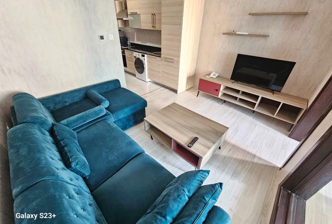 53008409 - Property Image 3