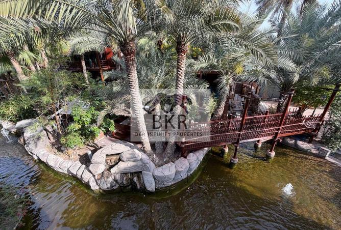 55085857 - صورة العقار 2