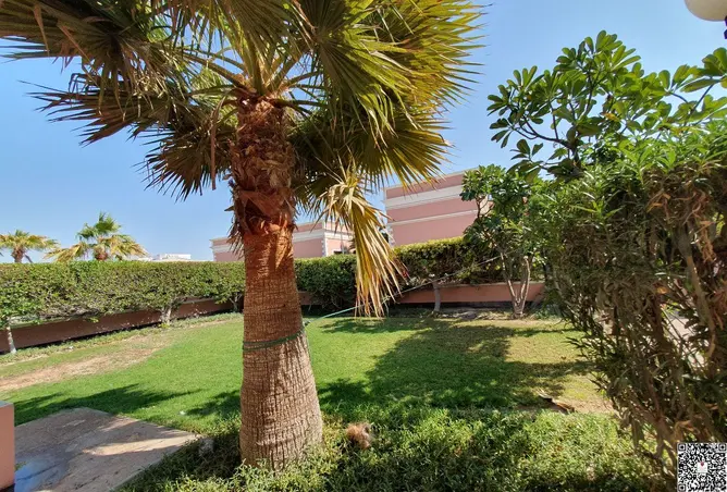 56300990 - Property Image 2