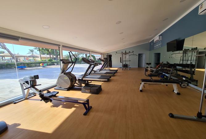 55802709 - Property Image 3