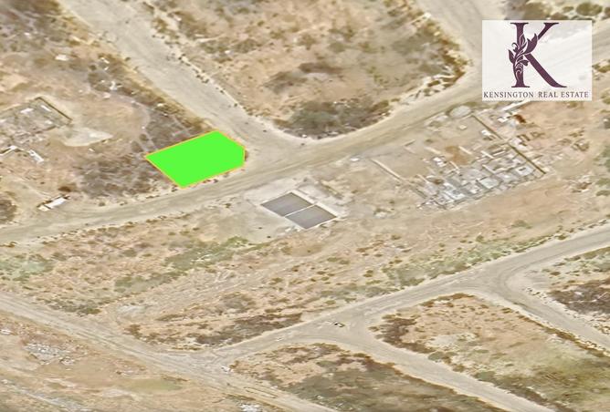 1001529 - صورة العقار 3