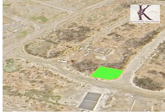 1001529 - صورة العقار 2