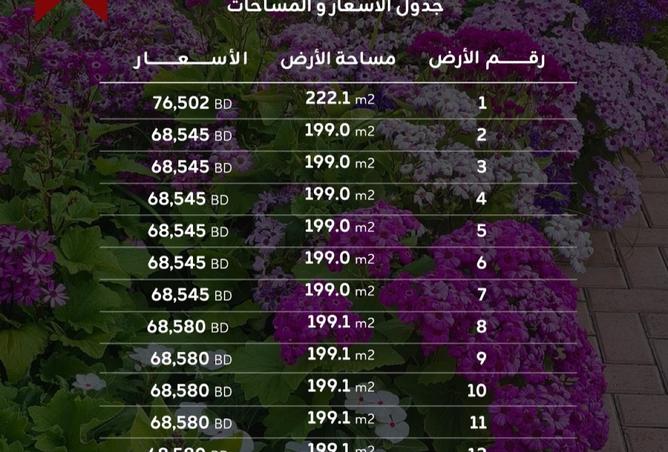 976329 - صورة العقار 3