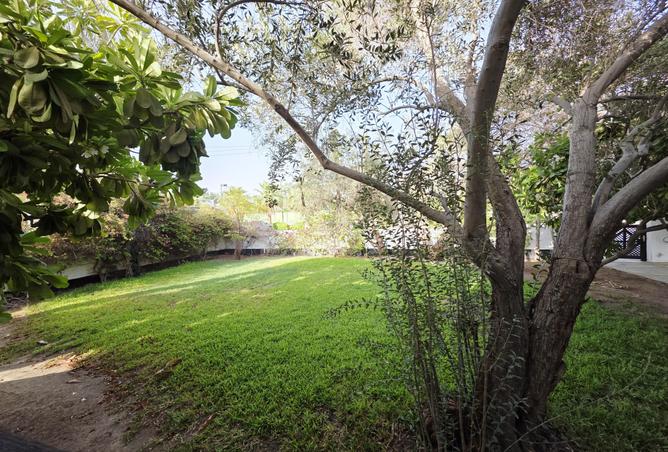 56579280 - Property Image 2