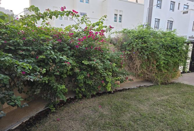 53058741 - صورة العقار 2