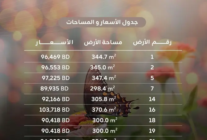 54450761 - صورة العقار 3