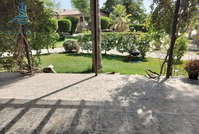 57319357 - صورة العقار 3