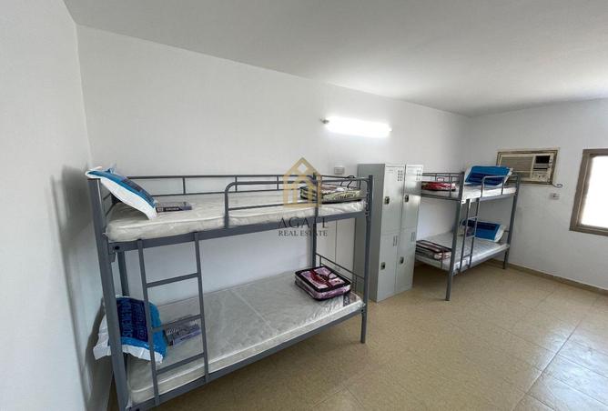 52090040 - Property Image 3