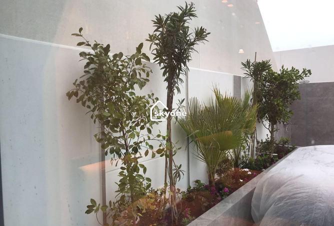 53033944 - صورة العقار 2