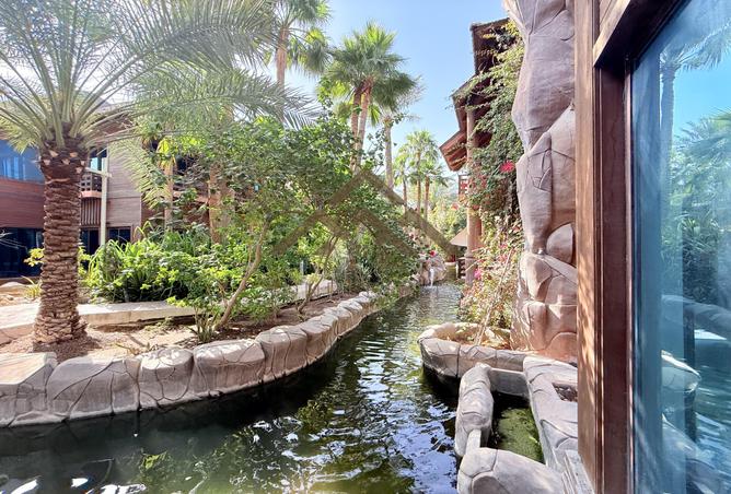 54396884 - Property Image 2
