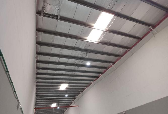 52436774 - Property Image 2