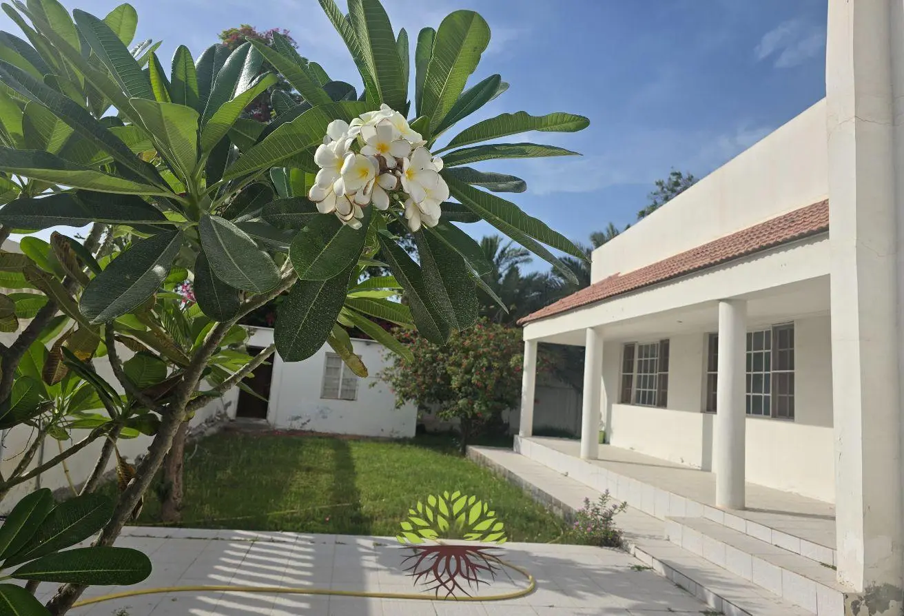 53601347 - الصورة الرئيسية للعقار