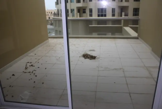 57319386 - صورة العقار 3