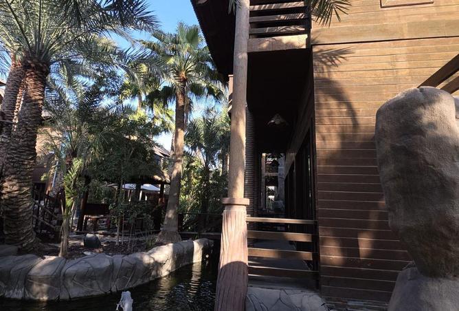 995336 - صورة العقار 2