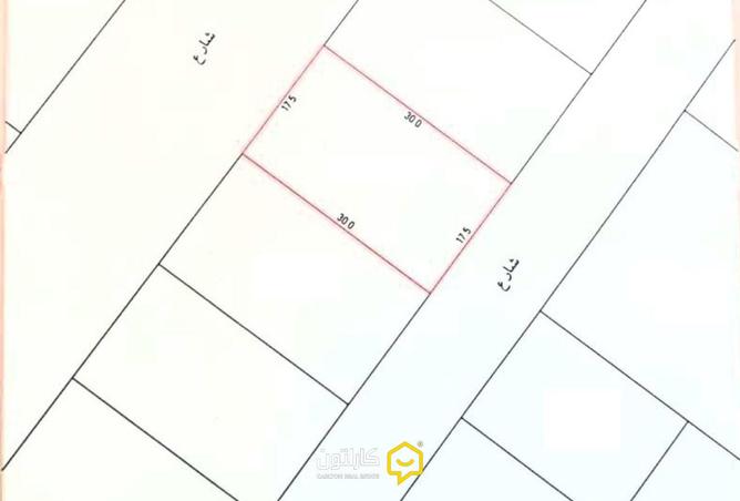 55892321 - Property Image 3