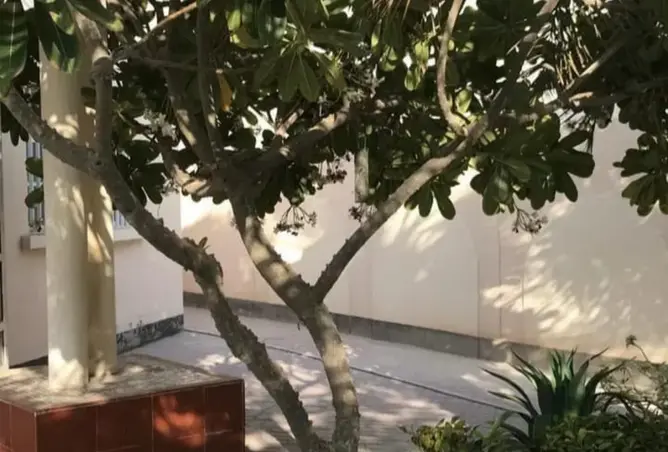 57550823 - صورة العقار 3