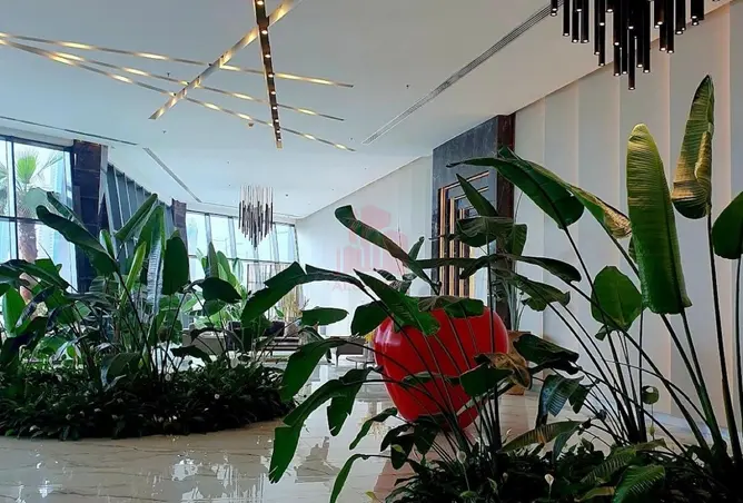 56548334 - Property Image 2