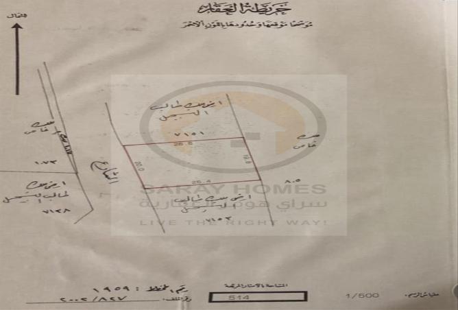 51557139 - Property Image 2