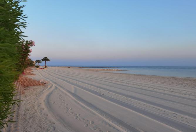 52275487 - Property Image 3