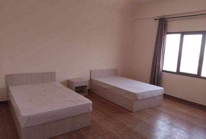 51203796 - Property Image 3