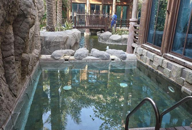 52906721 - Property Image 3