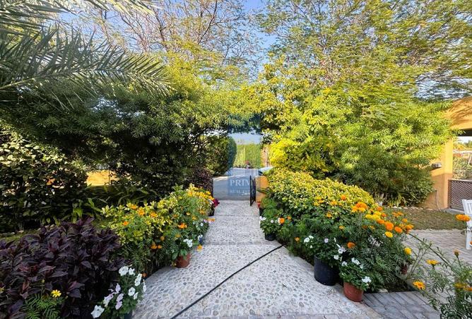 995004 - Property Image 2